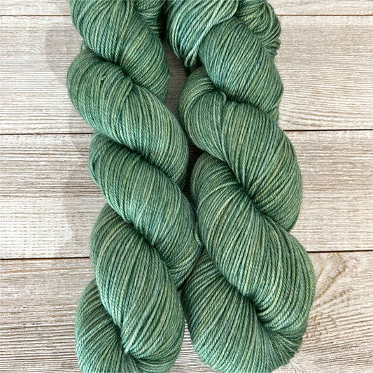 Harmony ~ Sea Urchin